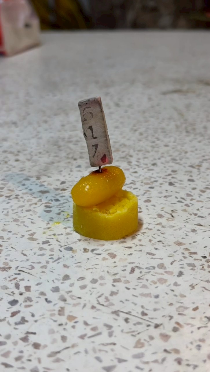 ฮาย อาภาพร