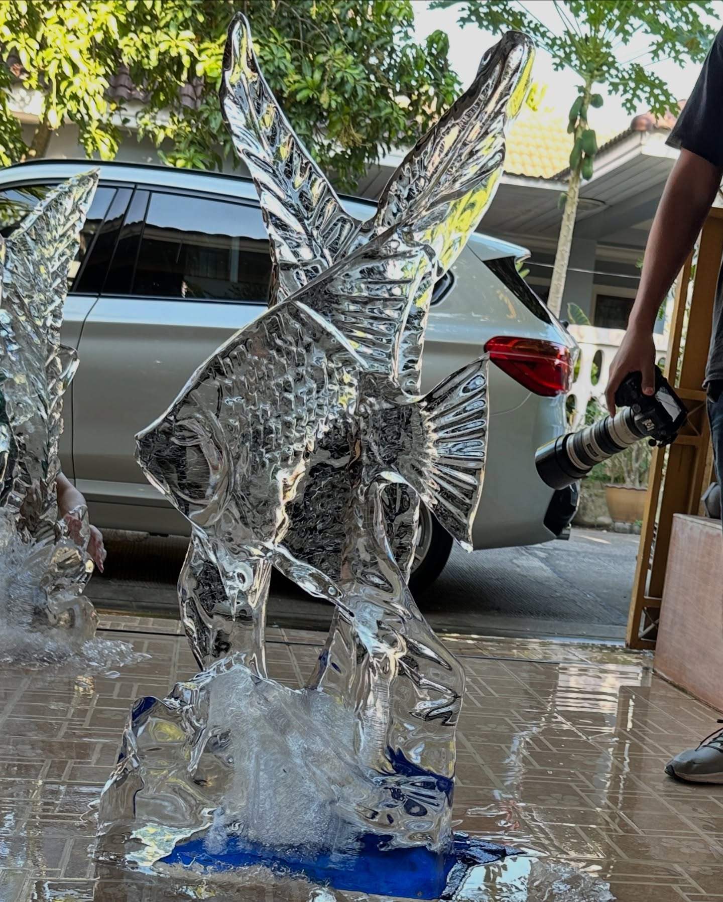 แต้ว ณฐพร
