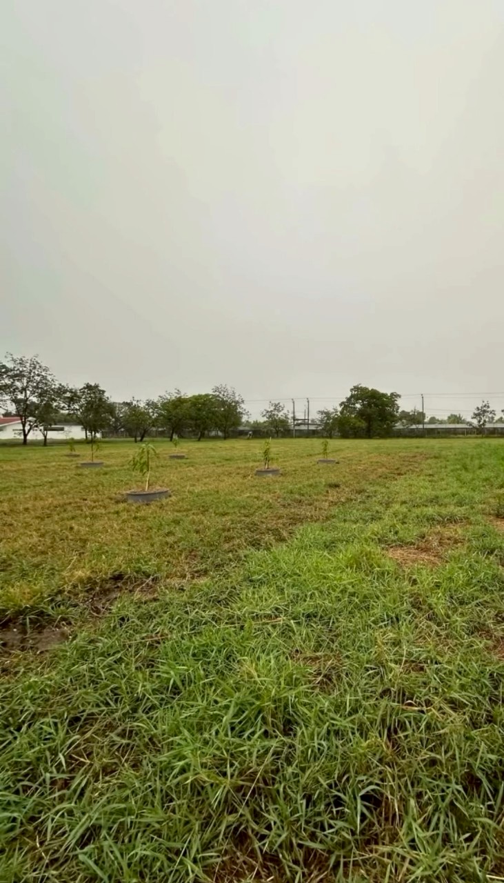 กวินท์ ปุ้มปุ้ย