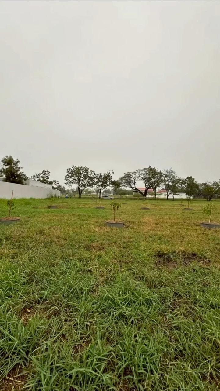 กวินท์ ปุ้มปุ้ย