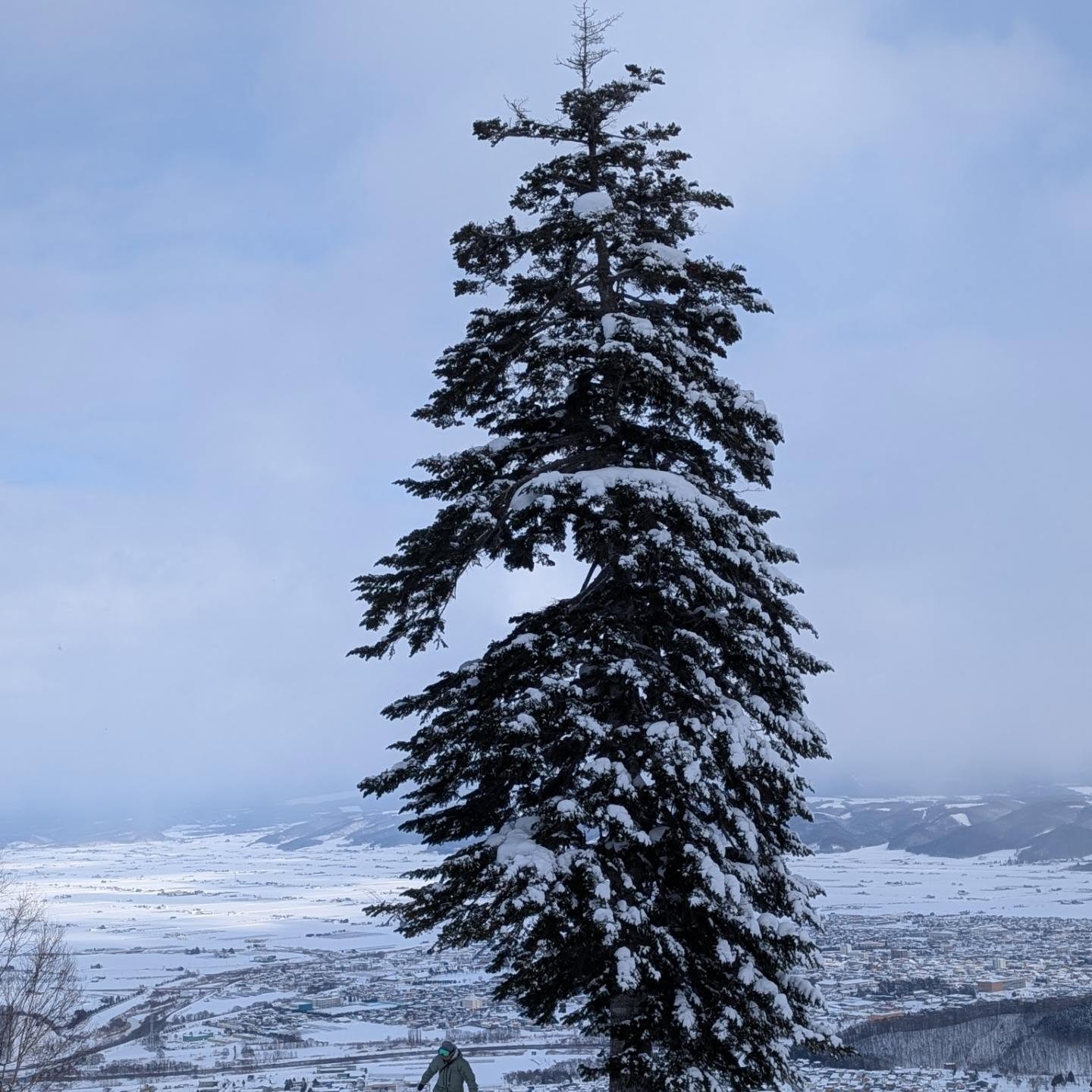 ตุ๊ก จันจิรา