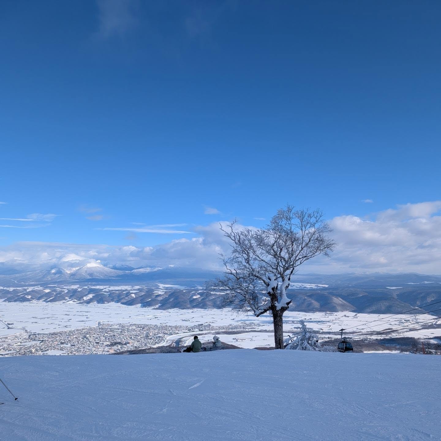 ตุ๊ก จันจิรา