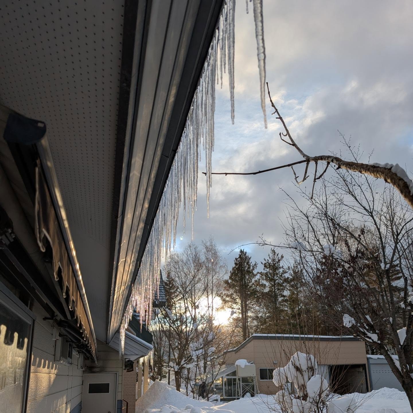 ตุ๊ก จันจิรา