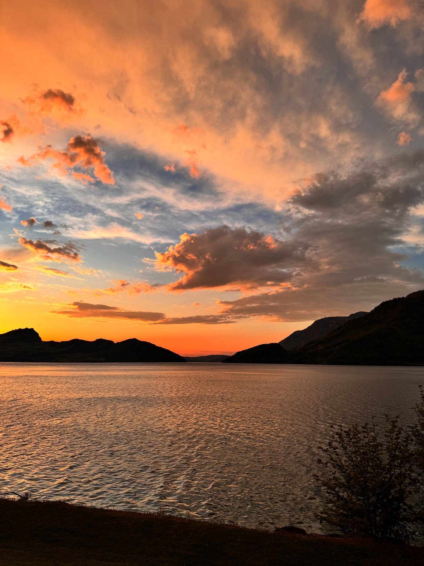 นัท มีเรีย