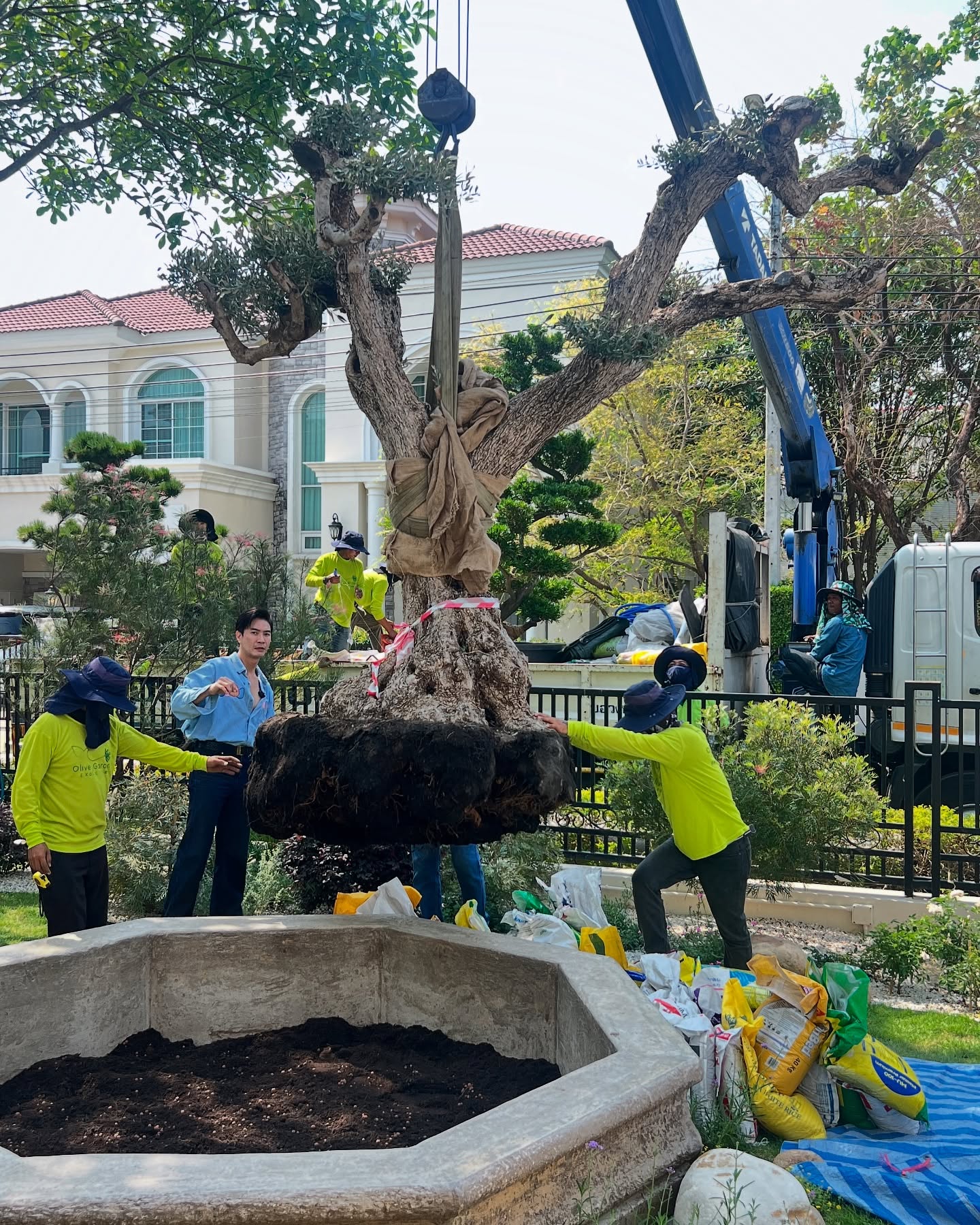 ตู่ ปิยวดี