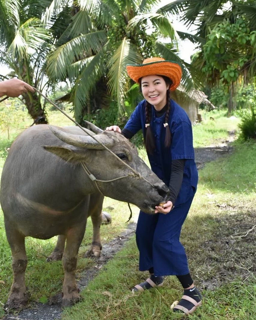 เอวา เนท