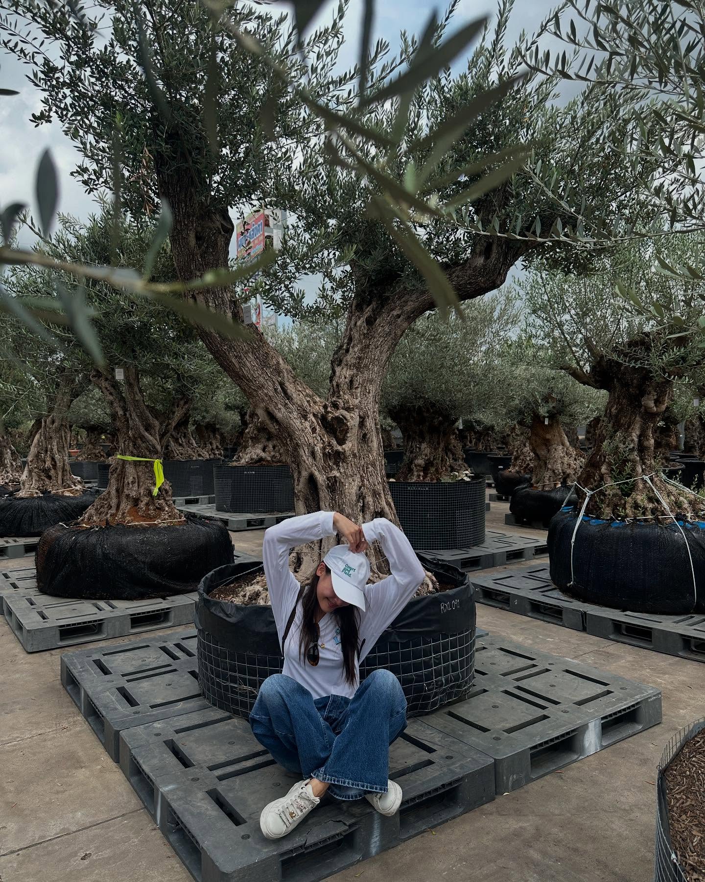 ญาญ่า อุรัสยา