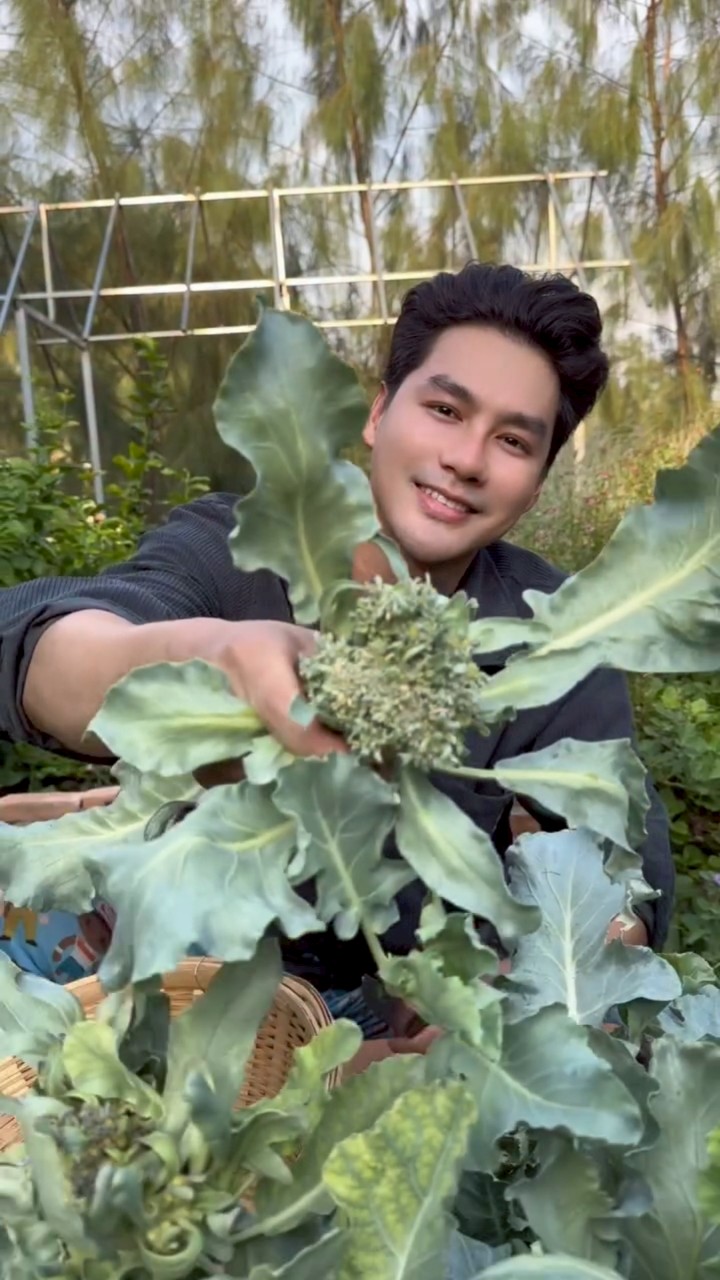 เพ็ชร ฐกฤต