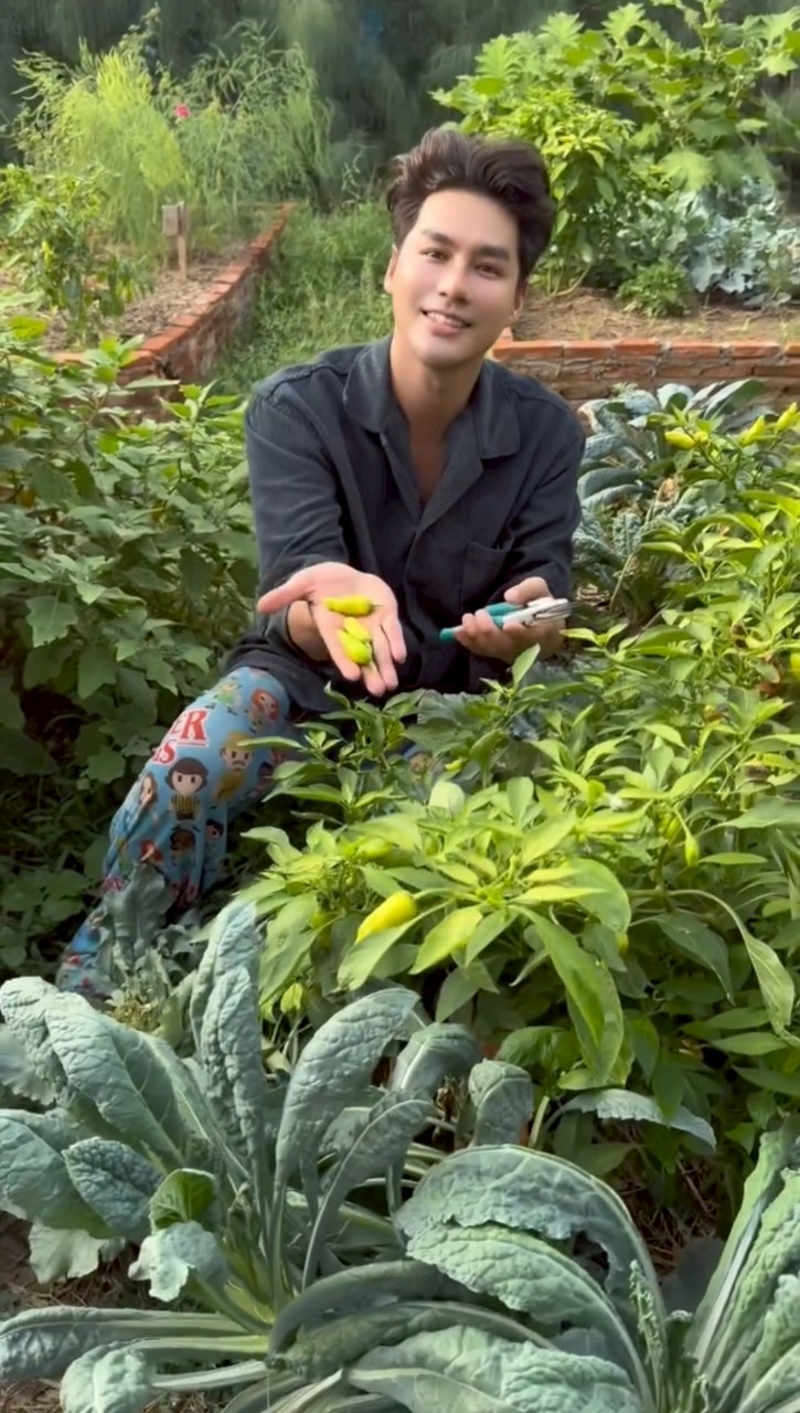 เพ็ชร ฐกฤต