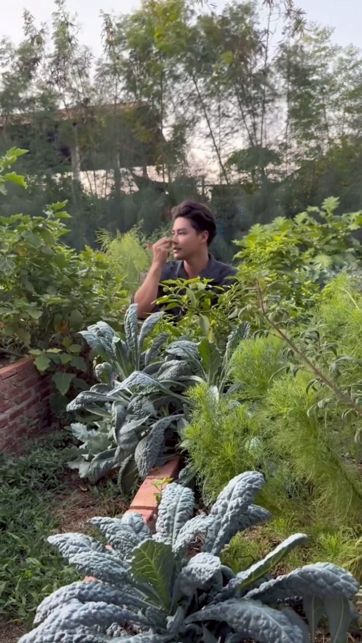 เพ็ชร ฐกฤต