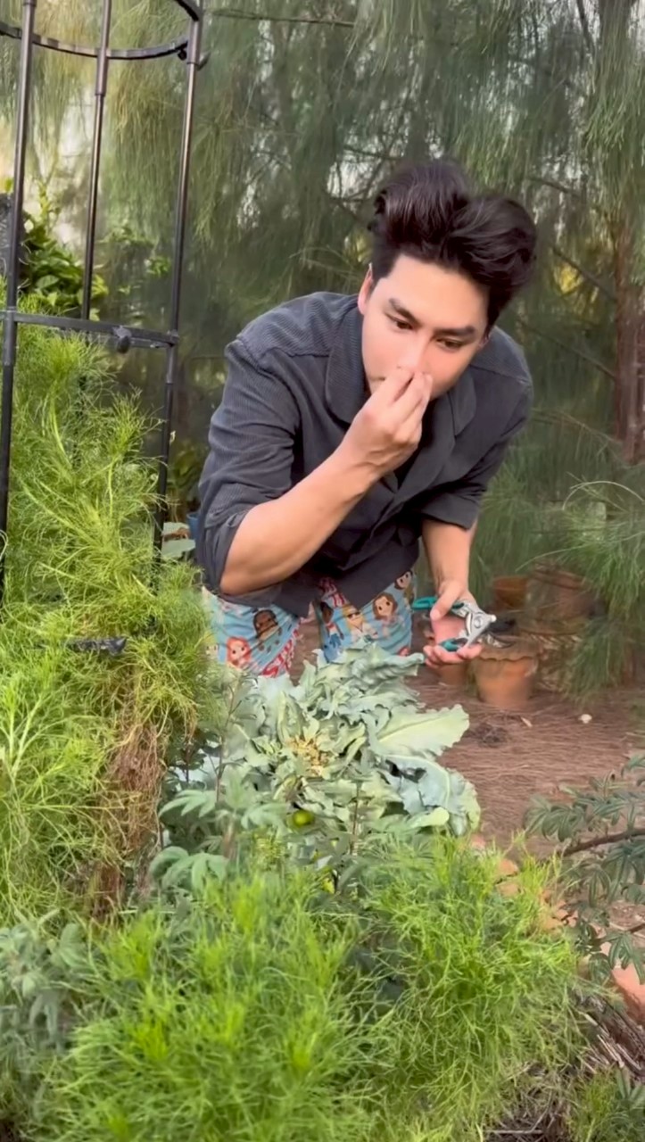 เพ็ชร ฐกฤต