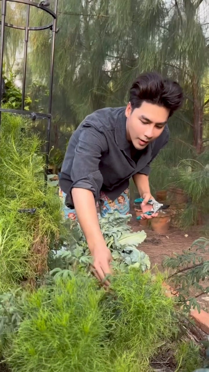 เพ็ชร ฐกฤต