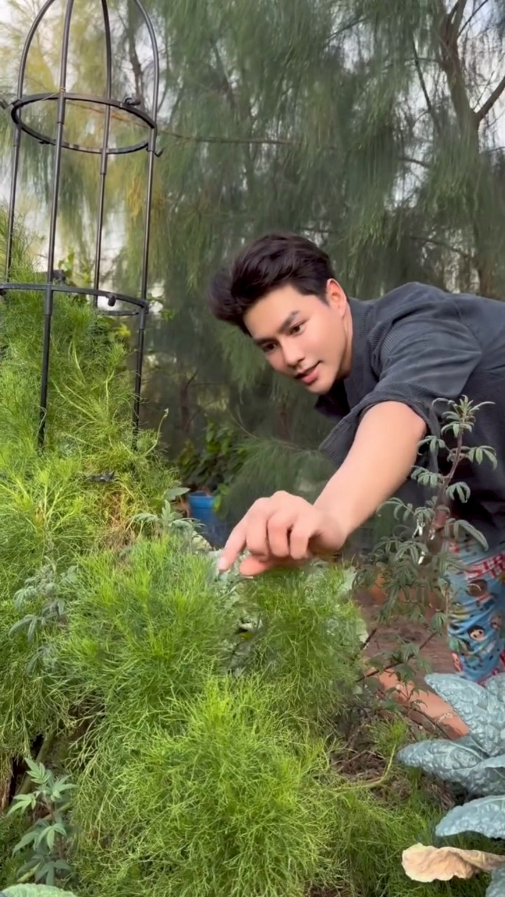 เพ็ชร ฐกฤต