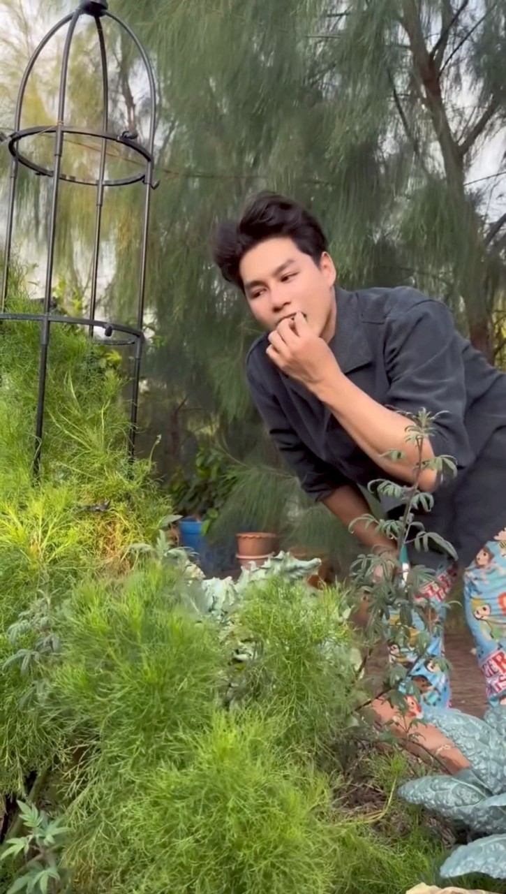 เพ็ชร ฐกฤต