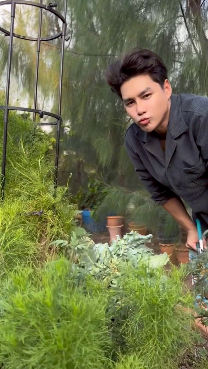 เพ็ชร ฐกฤต