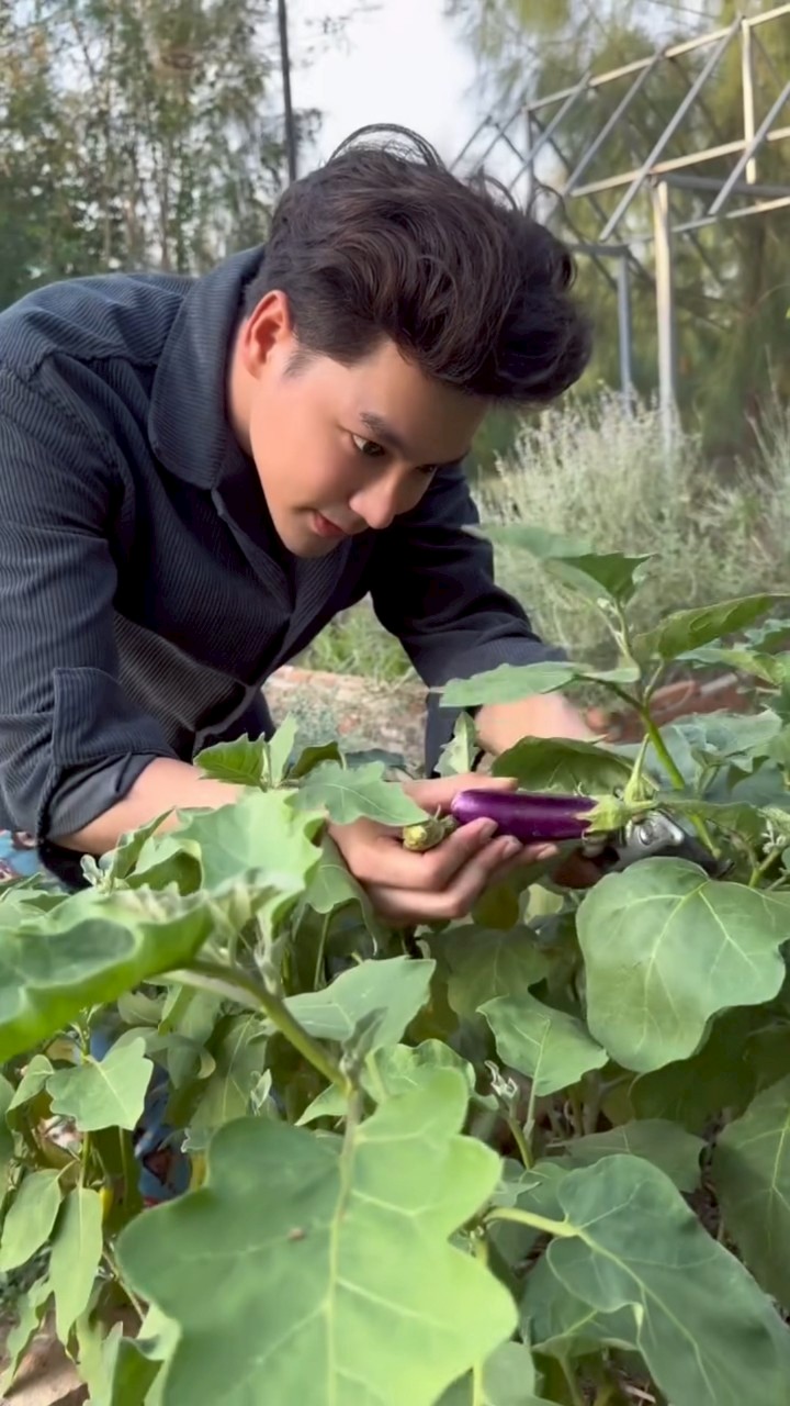 เพ็ชร ฐกฤต