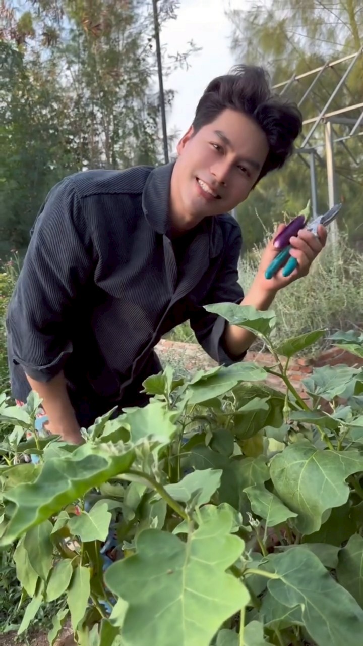 เพ็ชร ฐกฤต