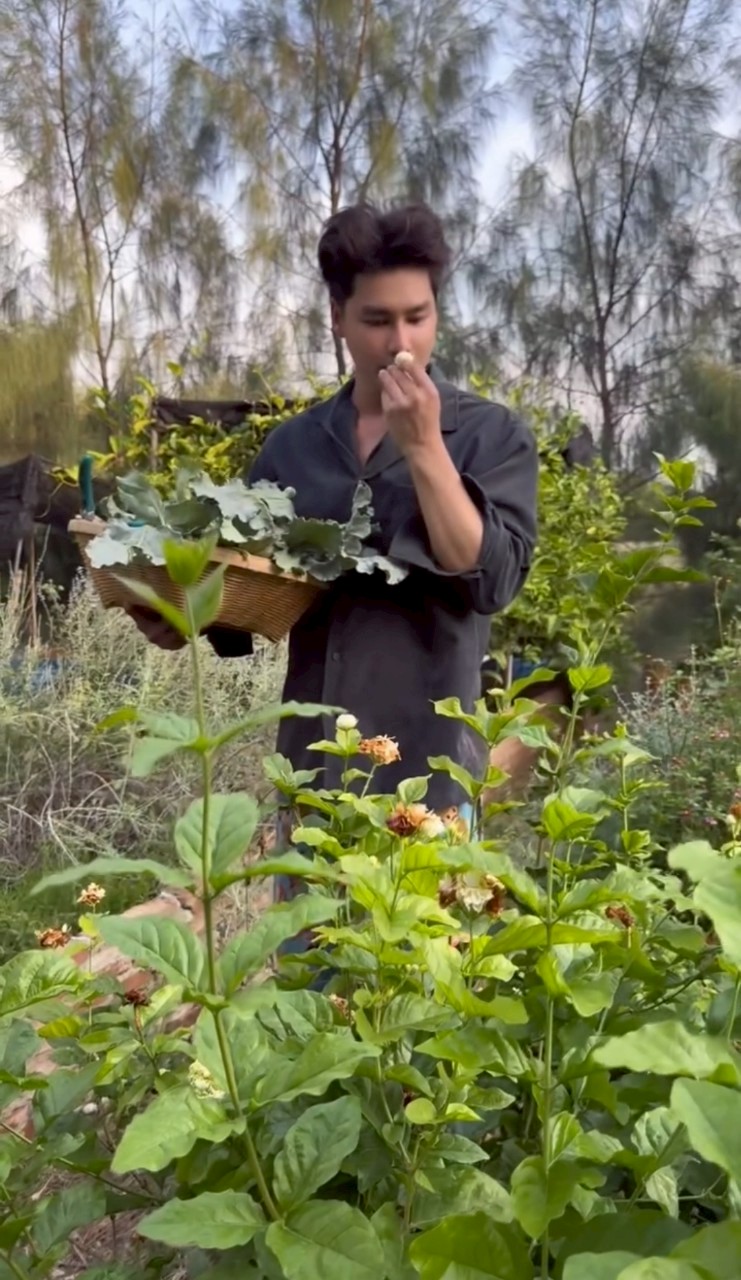 เพ็ชร ฐกฤต