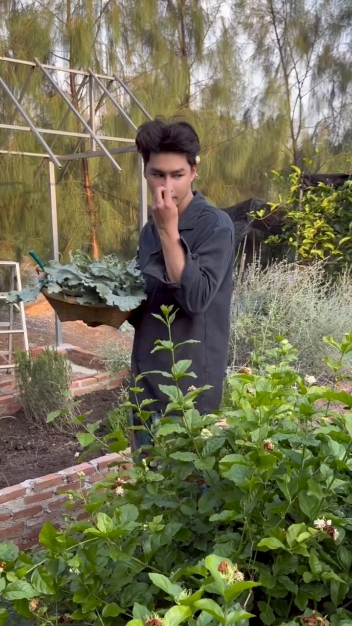 เพ็ชร ฐกฤต