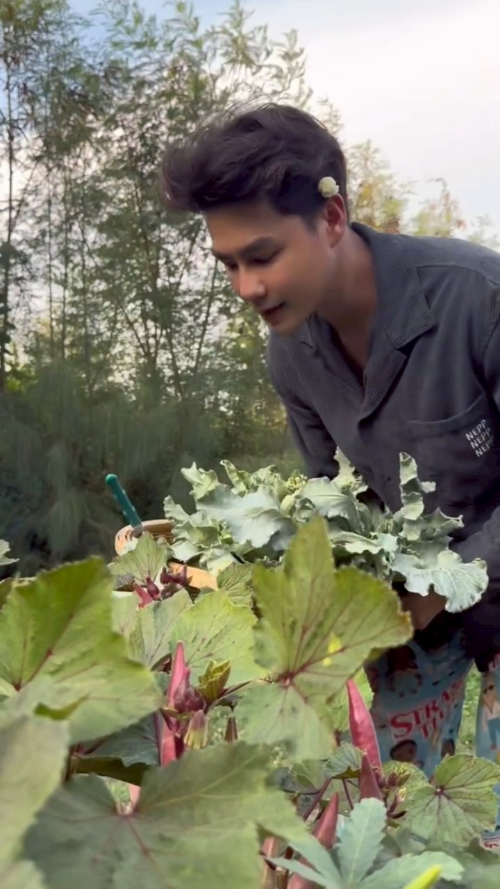 เพ็ชร ฐกฤต