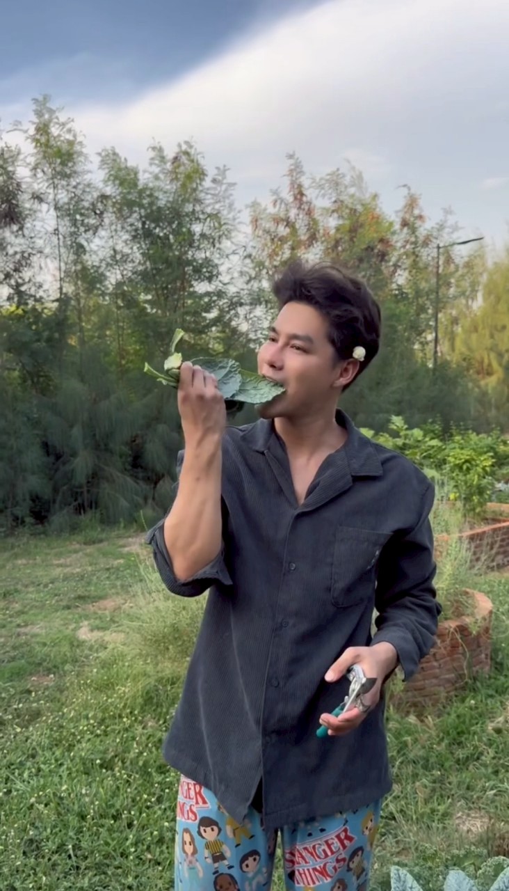 เพ็ชร ฐกฤต