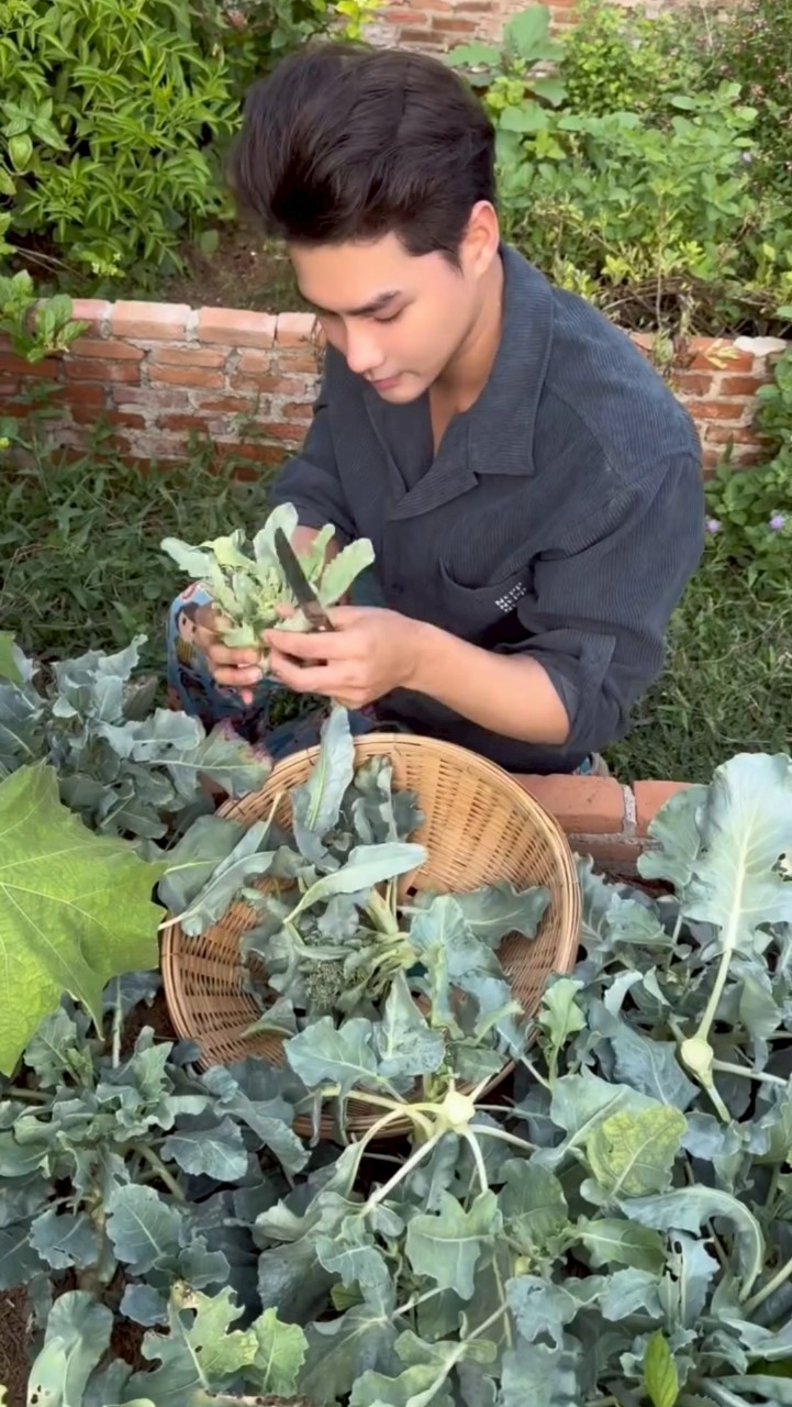 เพ็ชร ฐกฤต