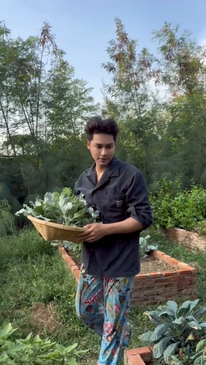 เพ็ชร ฐกฤต