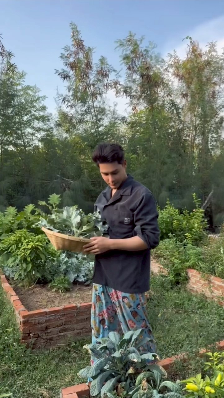 เพ็ชร ฐกฤต