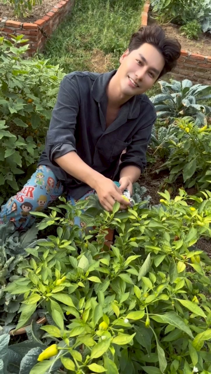 เพ็ชร ฐกฤต