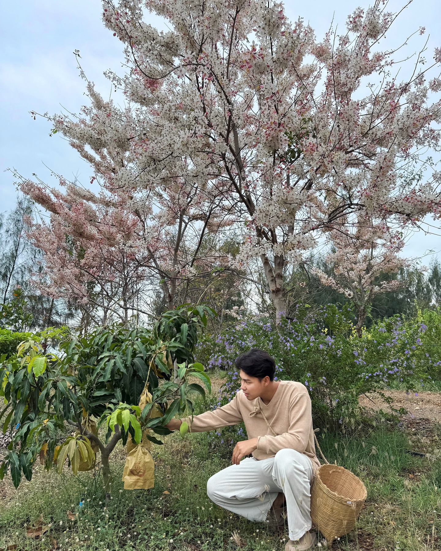 เพ็ชร ฐกฤต