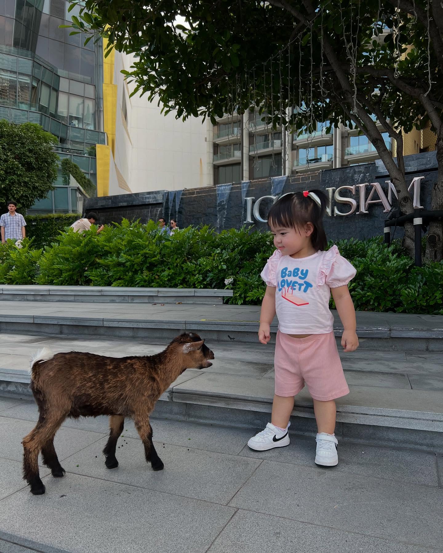 น้องเอลิเซีย