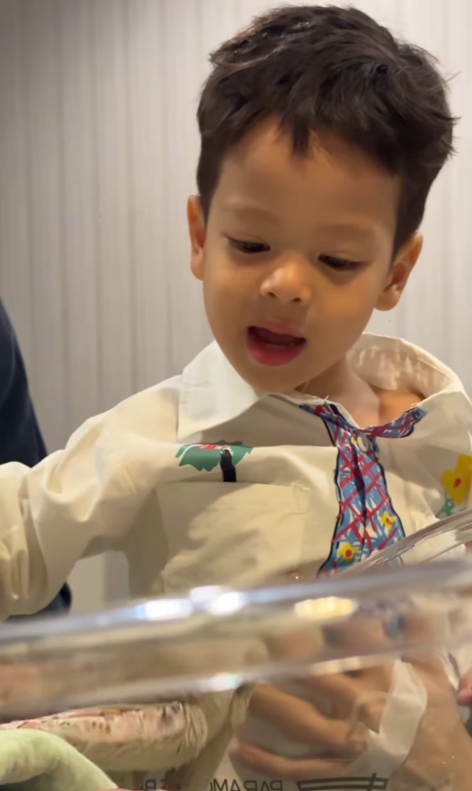 ปุ้มปุ้ย พรรณทิพา