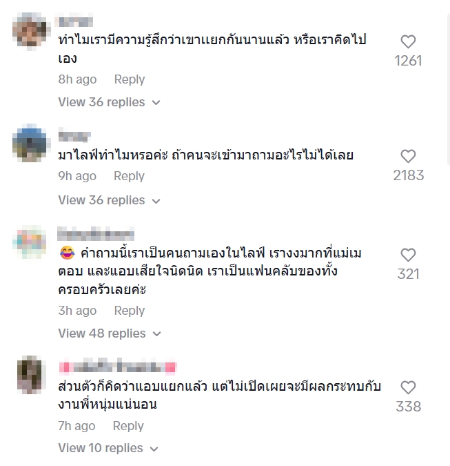 เมย์ เฟื่องอารมย์