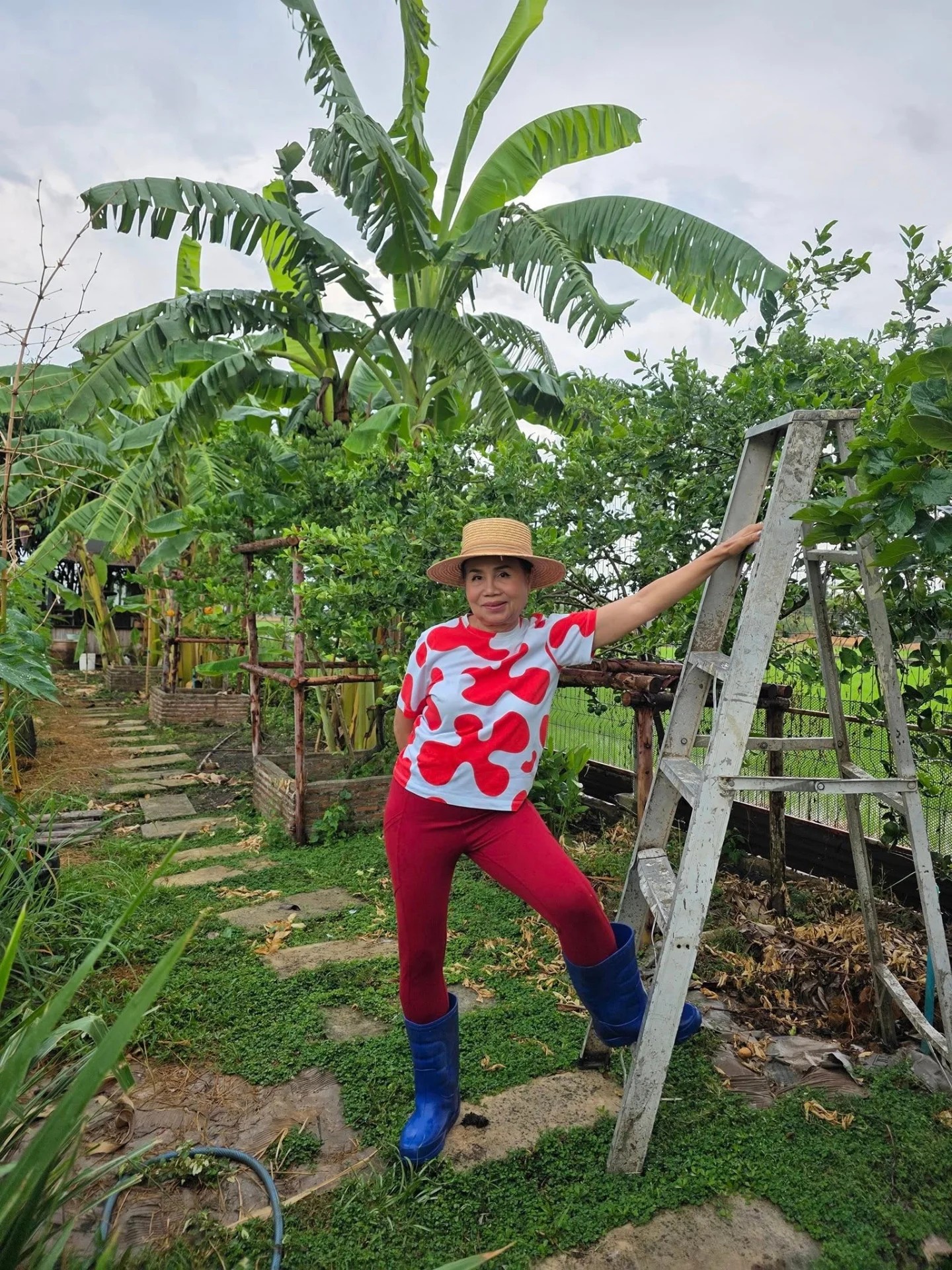 ยายหนิง