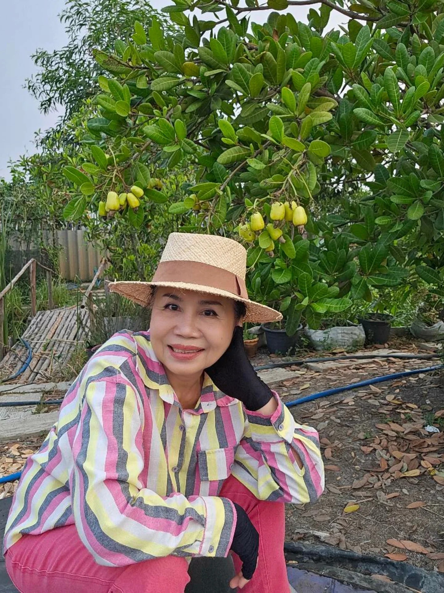 ยายหนิง