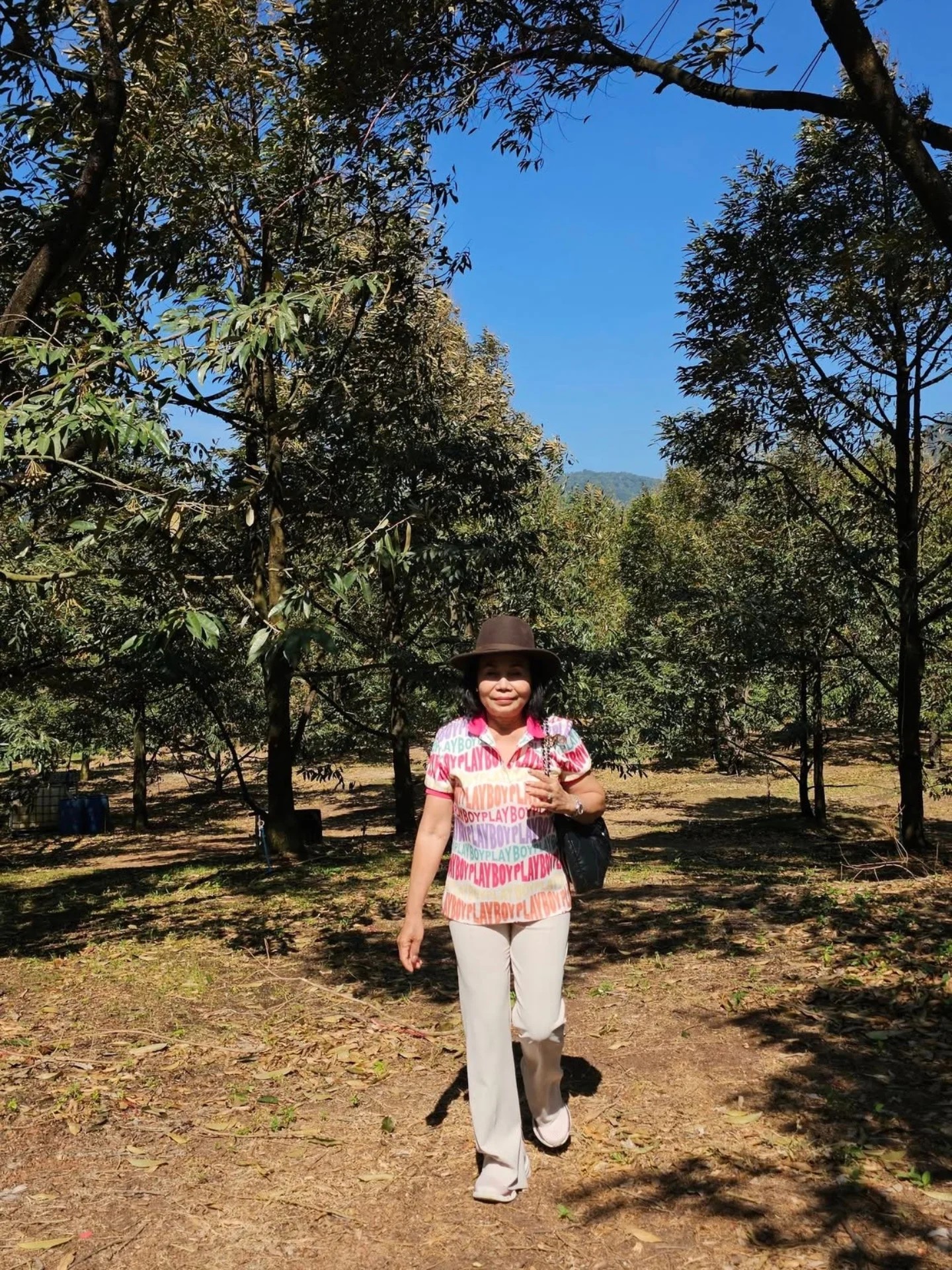 ยายหนิง