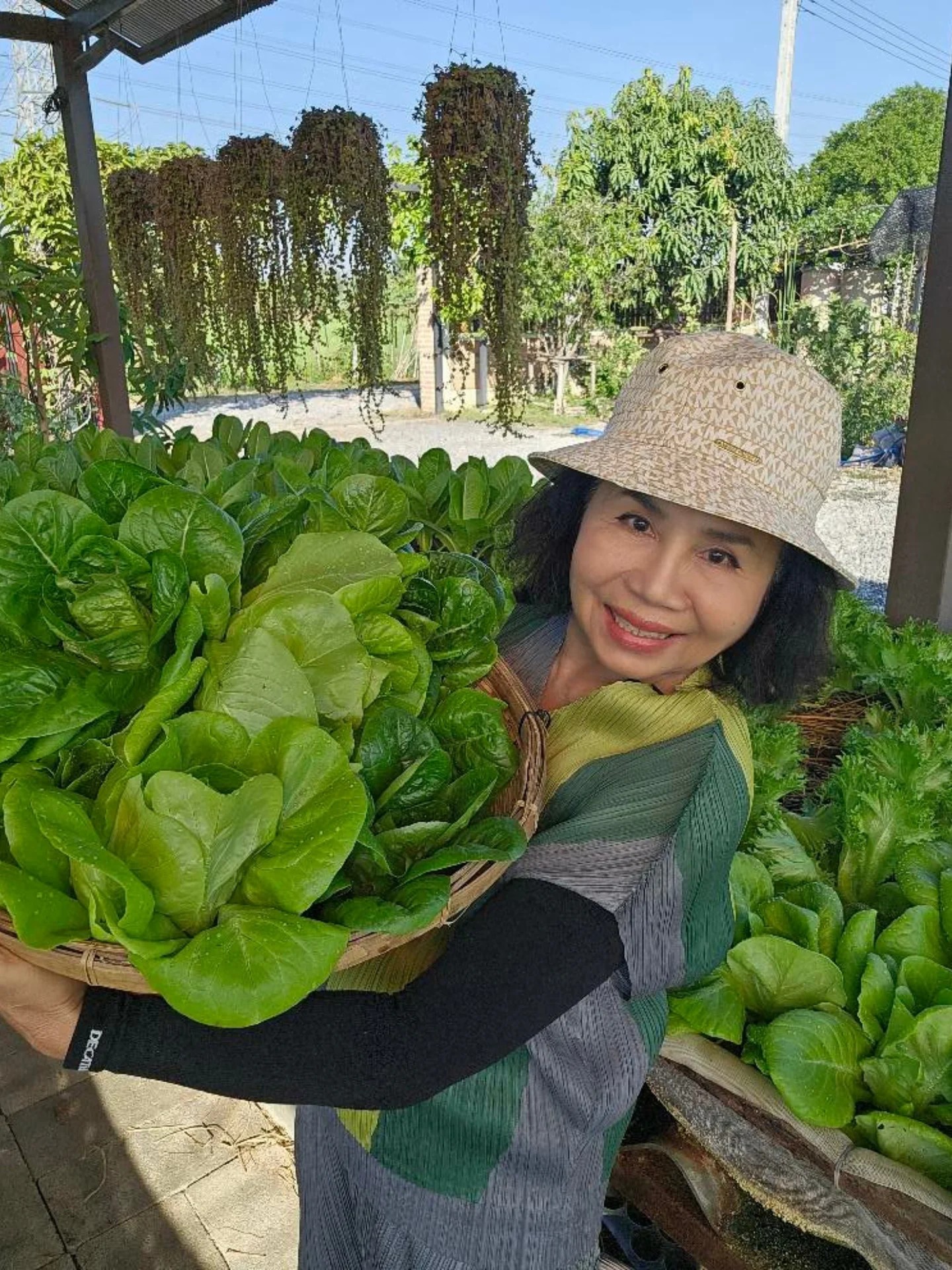 ยายหนิง