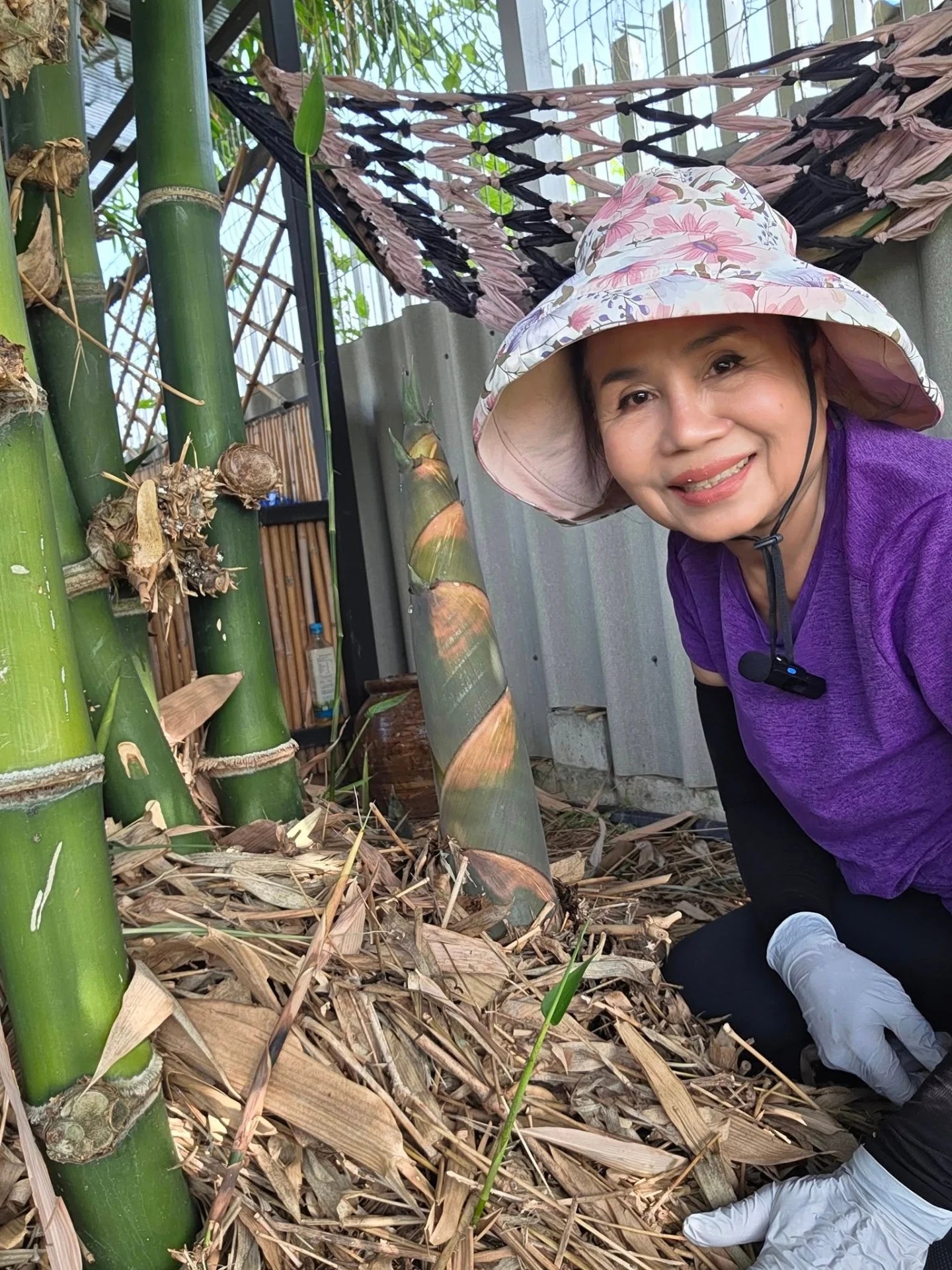 ยายหนิง