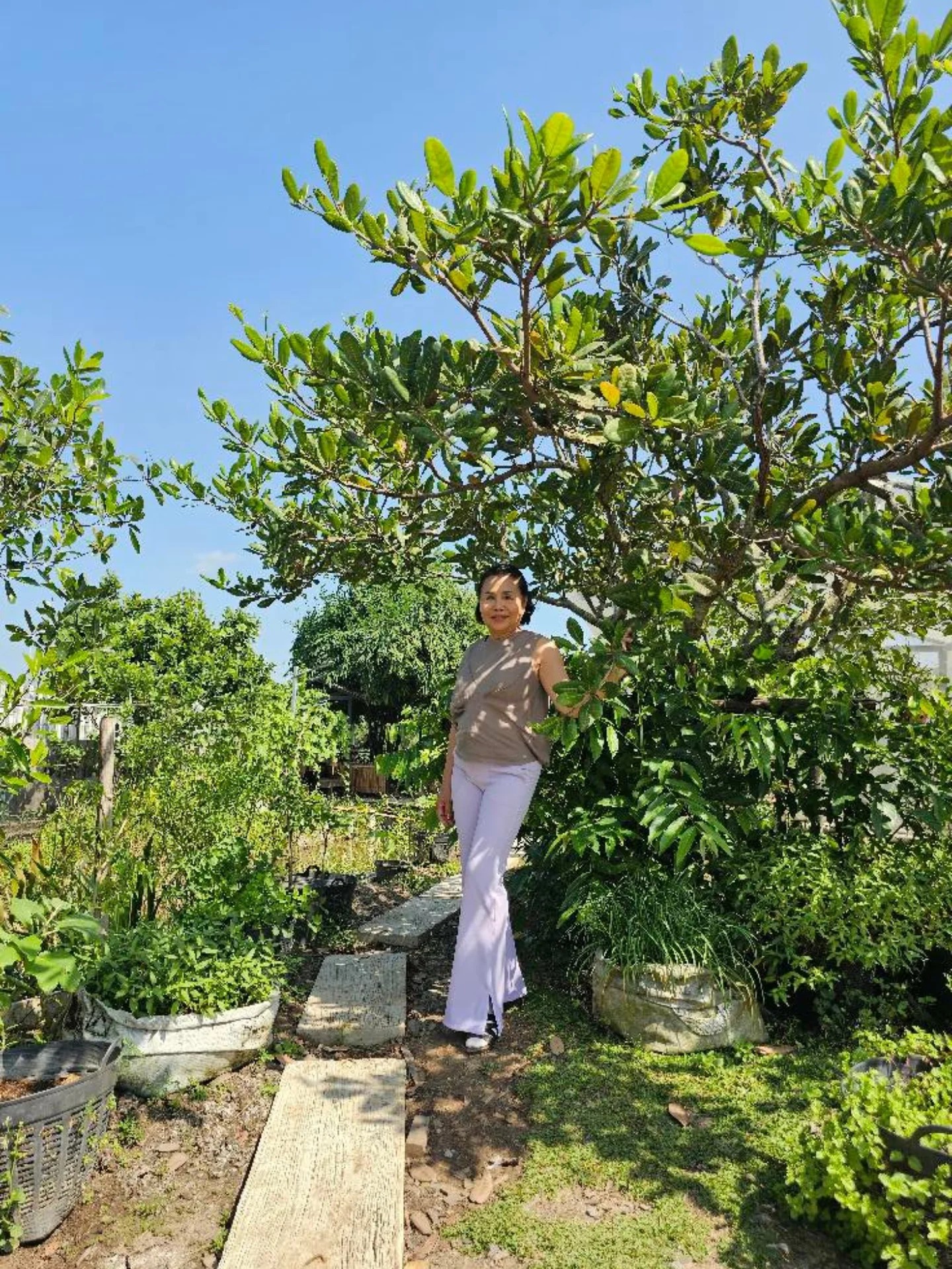 ยายหนิง