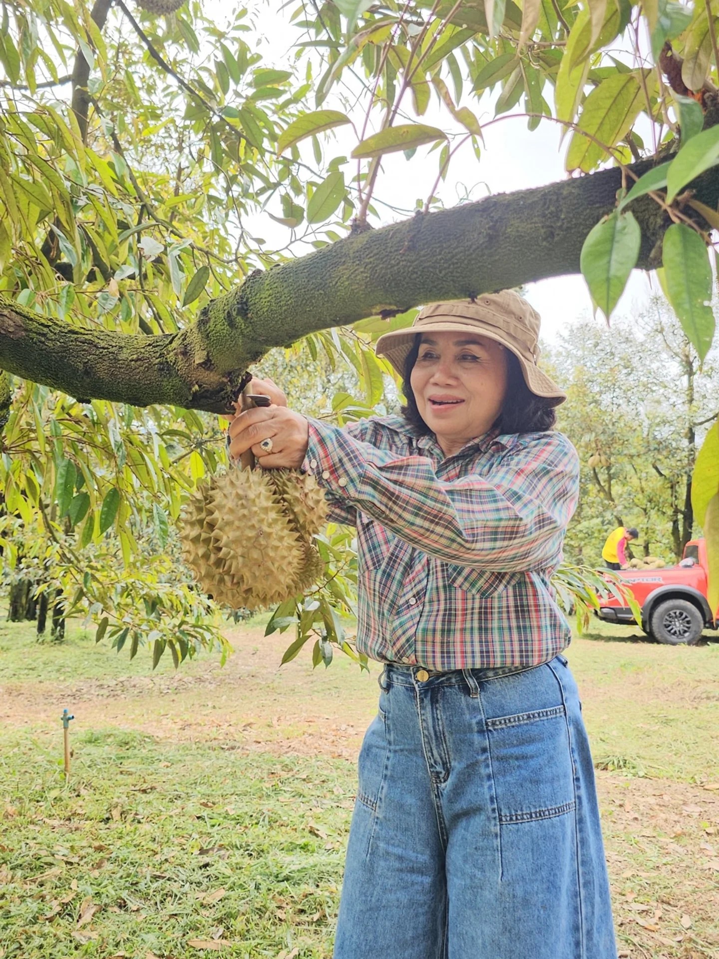 ยายหนิง