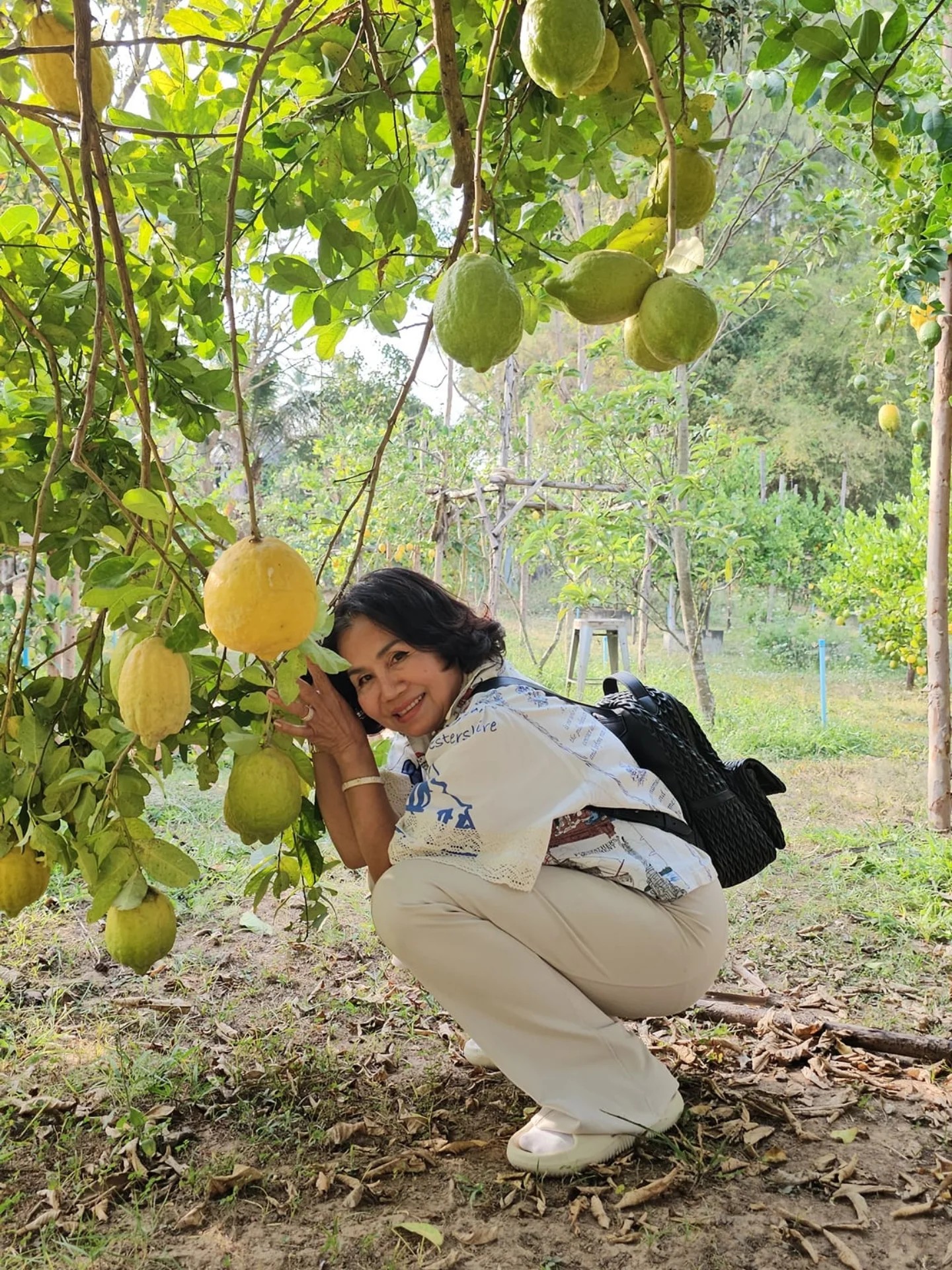 ยายหนิง