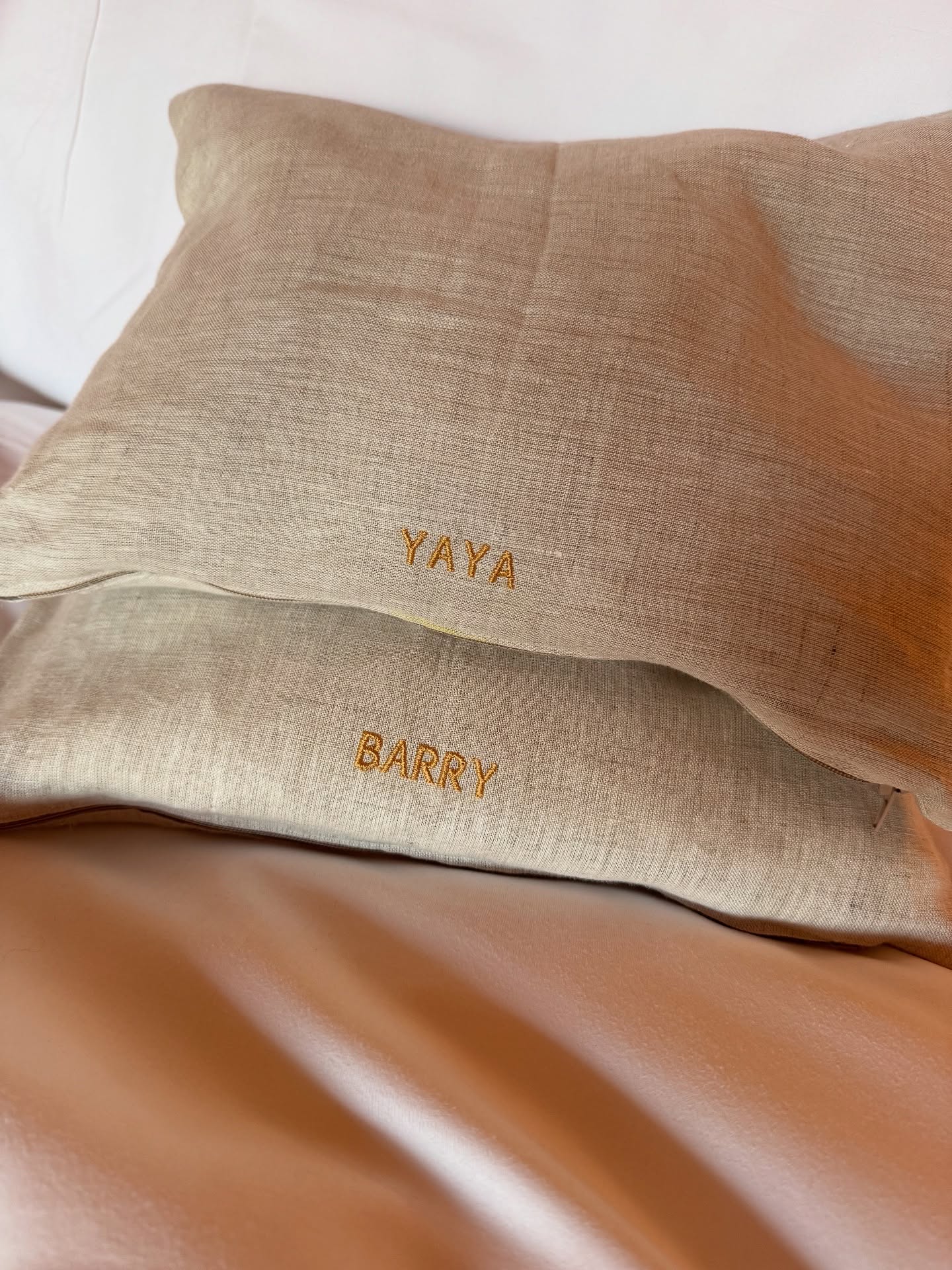 ณเดชน์ ญาญ่า