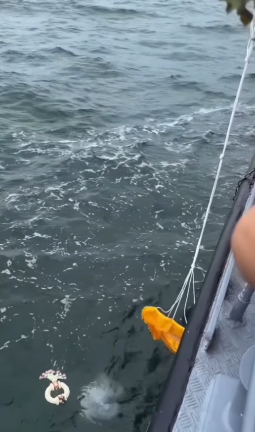 บอย ปกรณ์