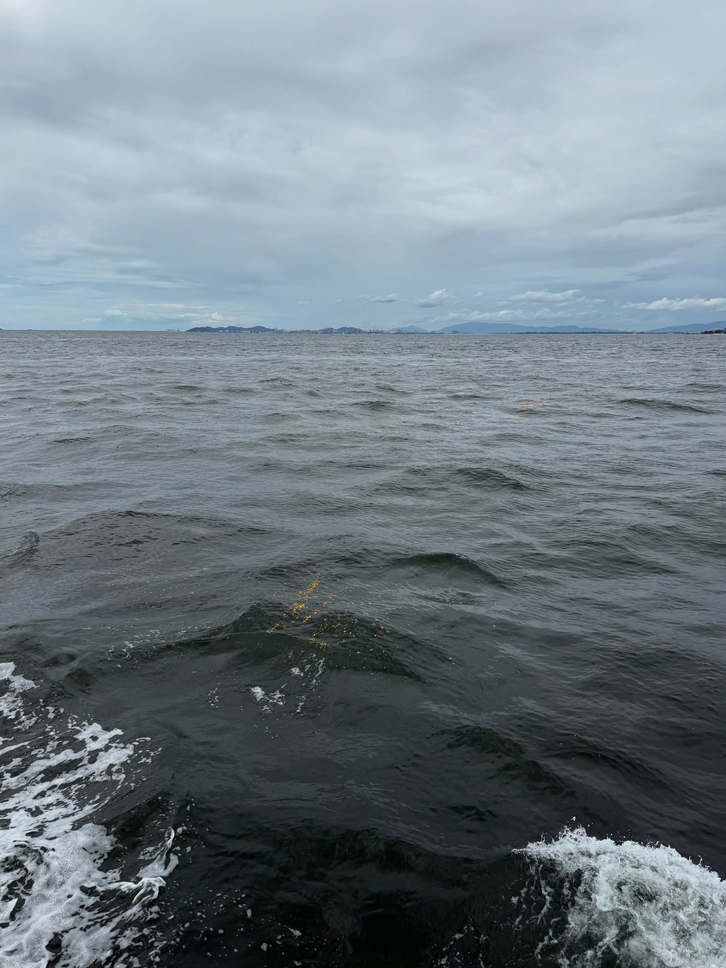 บอย ปกรณ์