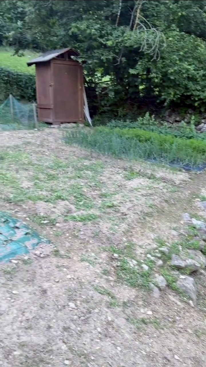 น้องเลอา