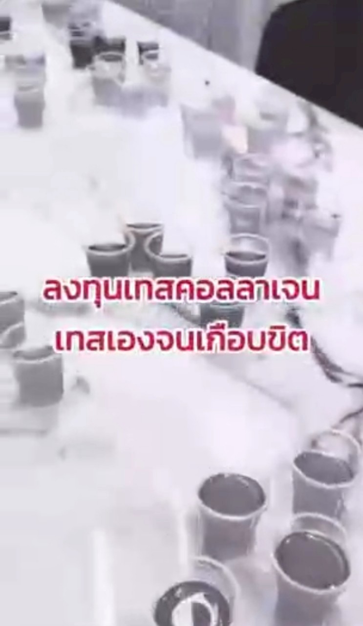 กระต่าย พรรณนิภา