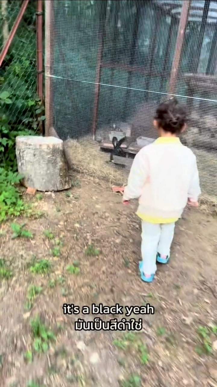 น้องเลอา