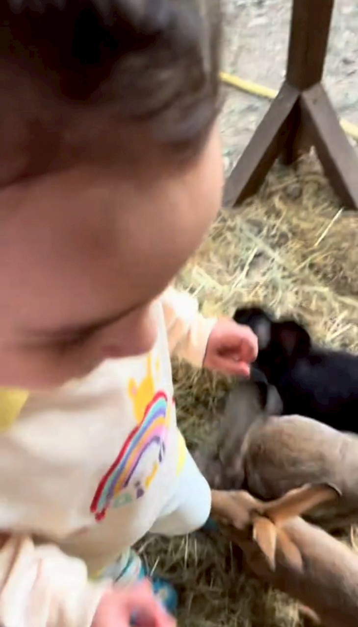 น้องเลอา