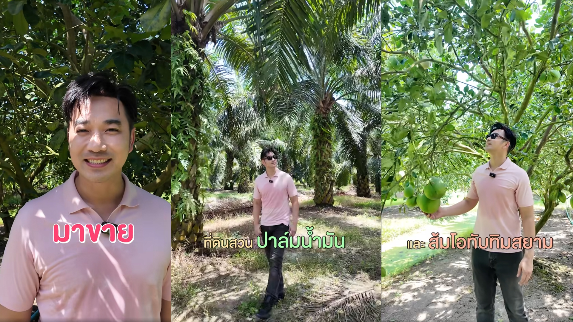 เจมส์ เรืองศักดิ์