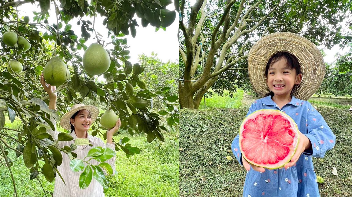 เจมส์ เรืองศักดิ์